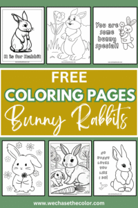 coloring pages of bunnies