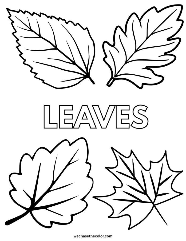 fall coloring sheets